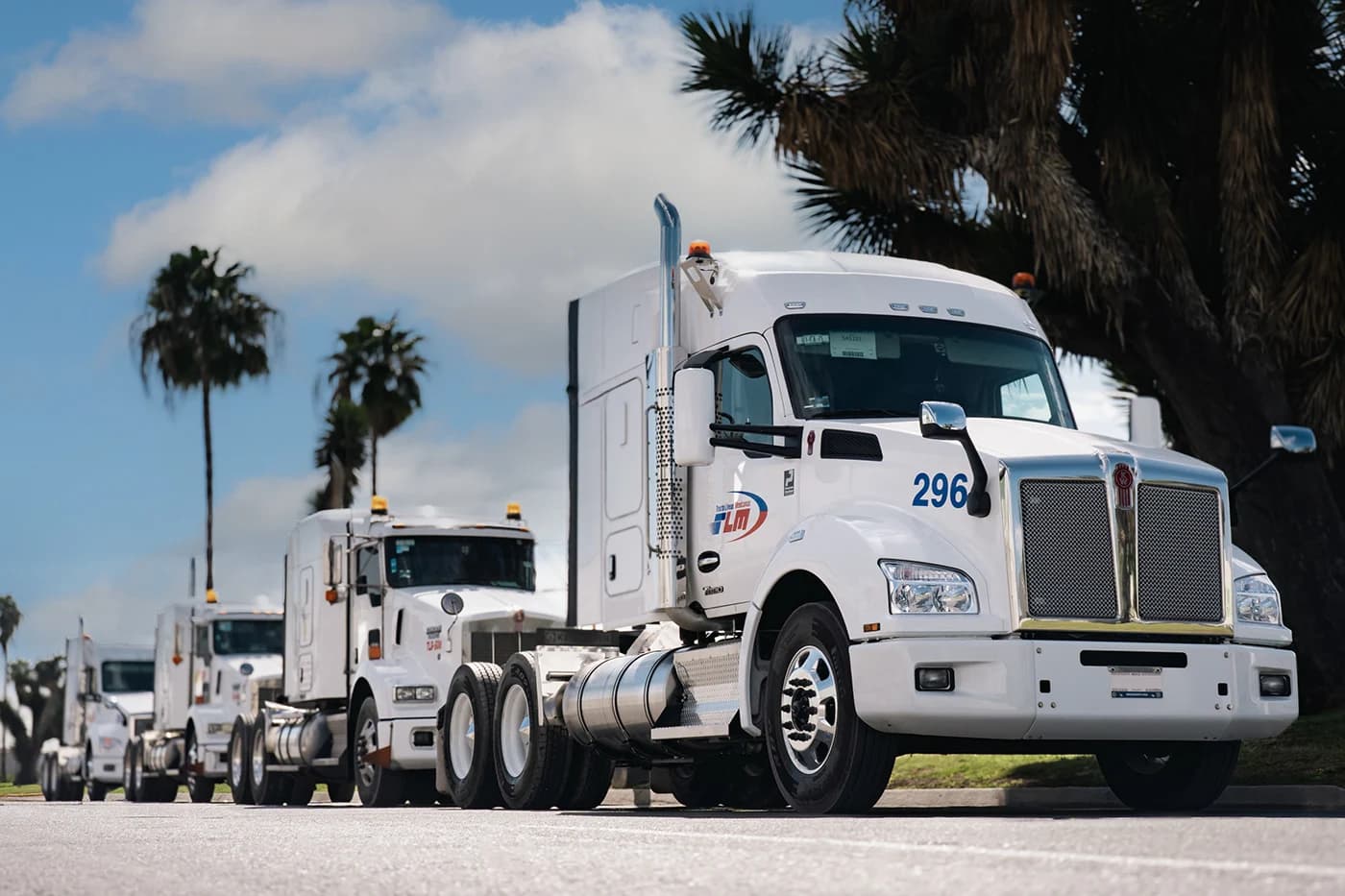 Convoy de tractocamiones TLM estacionados en fila